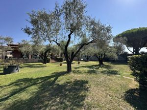 Villa Reale  |  -  - 