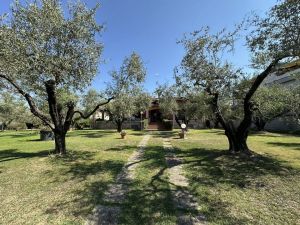 Villa Reale  |  -  - 