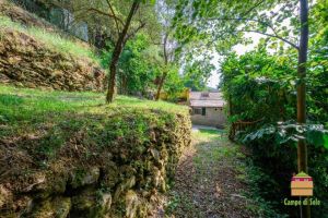 Villa Levantina |  -  - 