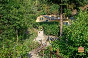 Villa Levantina |  -  - 
