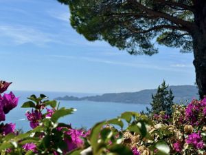 Villa il Cielo su Portofino |  -  - 