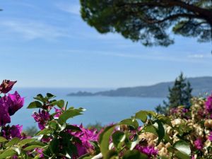 Villa il Cielo su Portofino |  -  - 