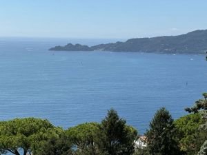 Villa il Cielo su Portofino |  -  - 