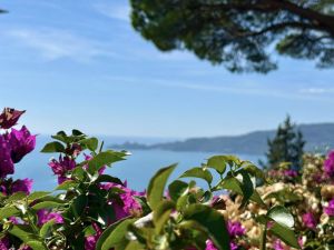 Villa il Cielo su Portofino |  -  - 