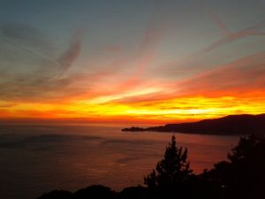 Villa il Cielo su Portofino |  -  - 