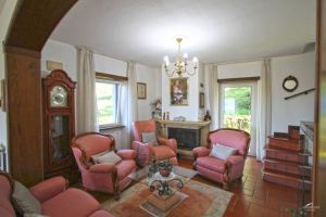 Antica Tenuta Montercorto  |  -  - 