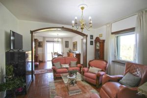 Antica Tenuta Montercorto  |  -  - 