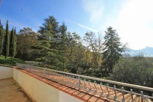Antica Tenuta Montercorto  |  -  - 