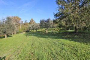 Antica Tenuta Montercorto  |  -  - 