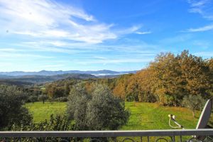 Antica Tenuta Montercorto  |  -  - 