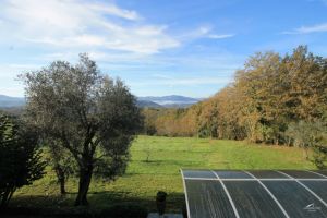 Antica Tenuta Montercorto  |  -  - 