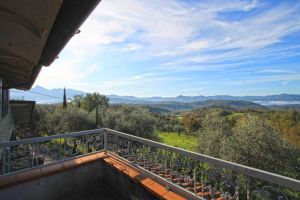 Antica Tenuta Montercorto  |  -  - 