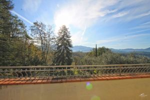 Antica Tenuta Montercorto  |  -  - 