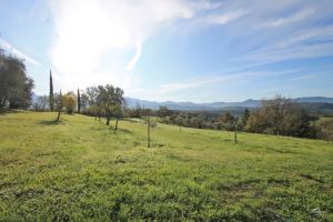 Antica Tenuta Montercorto  |  -  - 