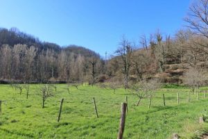 Antico Podere del 1590  |  -  - 