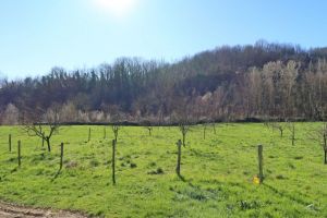 Antico Podere del 1590  |  -  - 