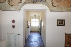 Antico Podere del 1590  |  -  - 