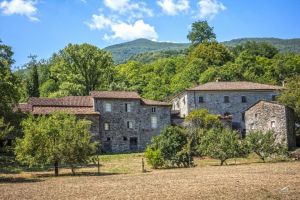 Antico Podere del 1590  |  -  - 