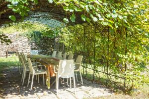 Antico Podere del 1590  |  -  - 