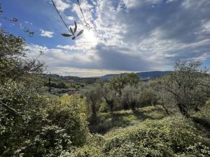 Antico Casale Vista Mare |  -  - 