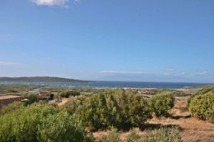 Tenuta Isola dei Gabbiani |  -  - 