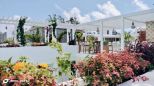 Villa Watamu Reef |  -  - 