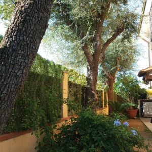 Casa Federica |  -  - 