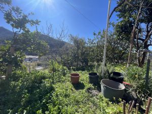Casa Casarza Mare |  -  - 