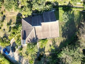 La Villa dei Pini  |  -  - 