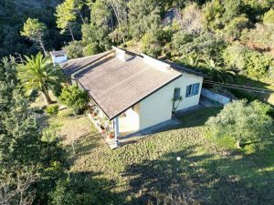 La Villa dei Pini  |  -  - 