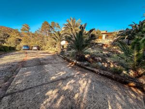 La Villa dei Pini  |  -  - 