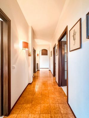 La Villa dei Pini  |  -  - 