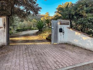 La Villa dei Pini  |  -  - 