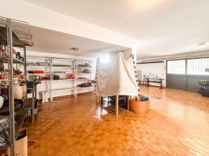La Villa dei Pini  |  -  - 