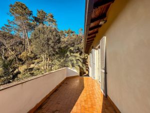 La Villa dei Pini  |  -  - 
