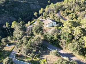 La Villa dei Pini  |  -  - 
