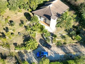La Villa dei Pini  |  -  - 