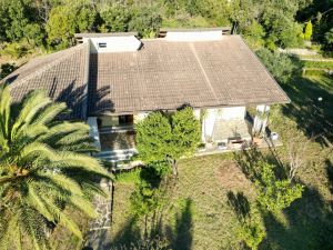 La Villa dei Pini  |  -  - 