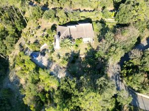 La Villa dei Pini  |  -  - 