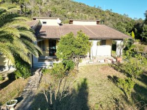 La Villa dei Pini  |  -  - 