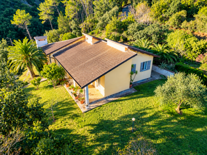 La Villa dei Pini  |  -  - 