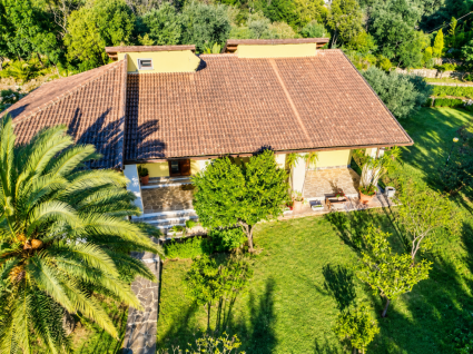 La Villa dei Pini  |  -  - 