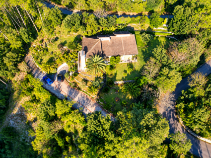 La Villa dei Pini  |  -  - 