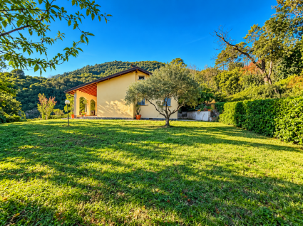 La Villa dei Pini  |  -  - 