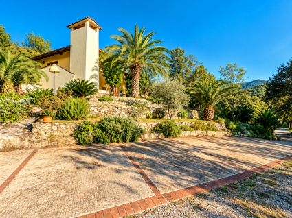 La Villa dei Pini  |  -  - 