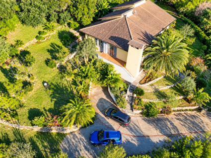 La Villa dei Pini  |  -  - 