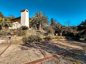 La Villa dei Pini  |  -  - 