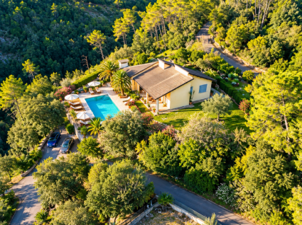 La Villa dei Pini  |  -  - 