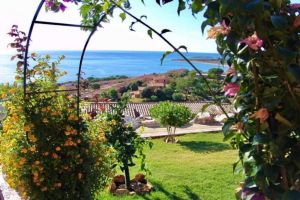 Villetta Corallo Rosa |  -  - 