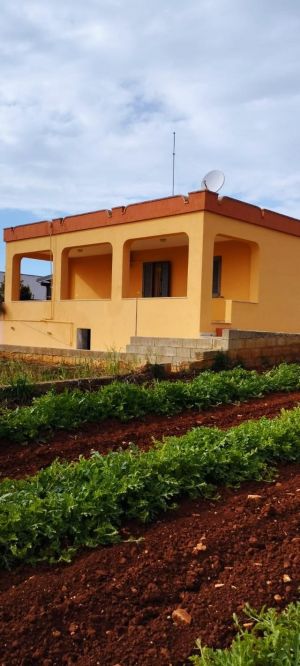 Casetta Salve al Mare |  -  - 
